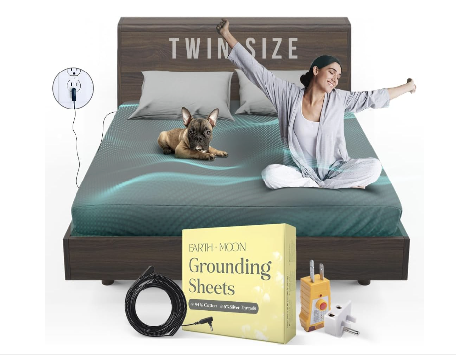 screenshot 2026 04 01 at 12.06.02 pm